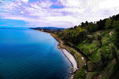 Black Sea