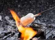 Campfire Marshmellow