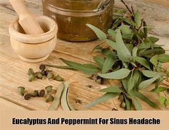 Peppermint and Eucalyptus