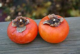 Persimmon Citron