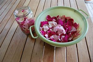Rose Petal Geiato