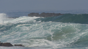 High Tide