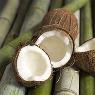 Bamboo and Coconut